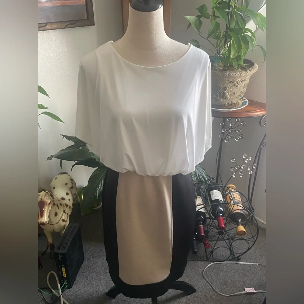 London Times White and Black Colorblock Midi Dress Size 8 - Picture 4 of 5